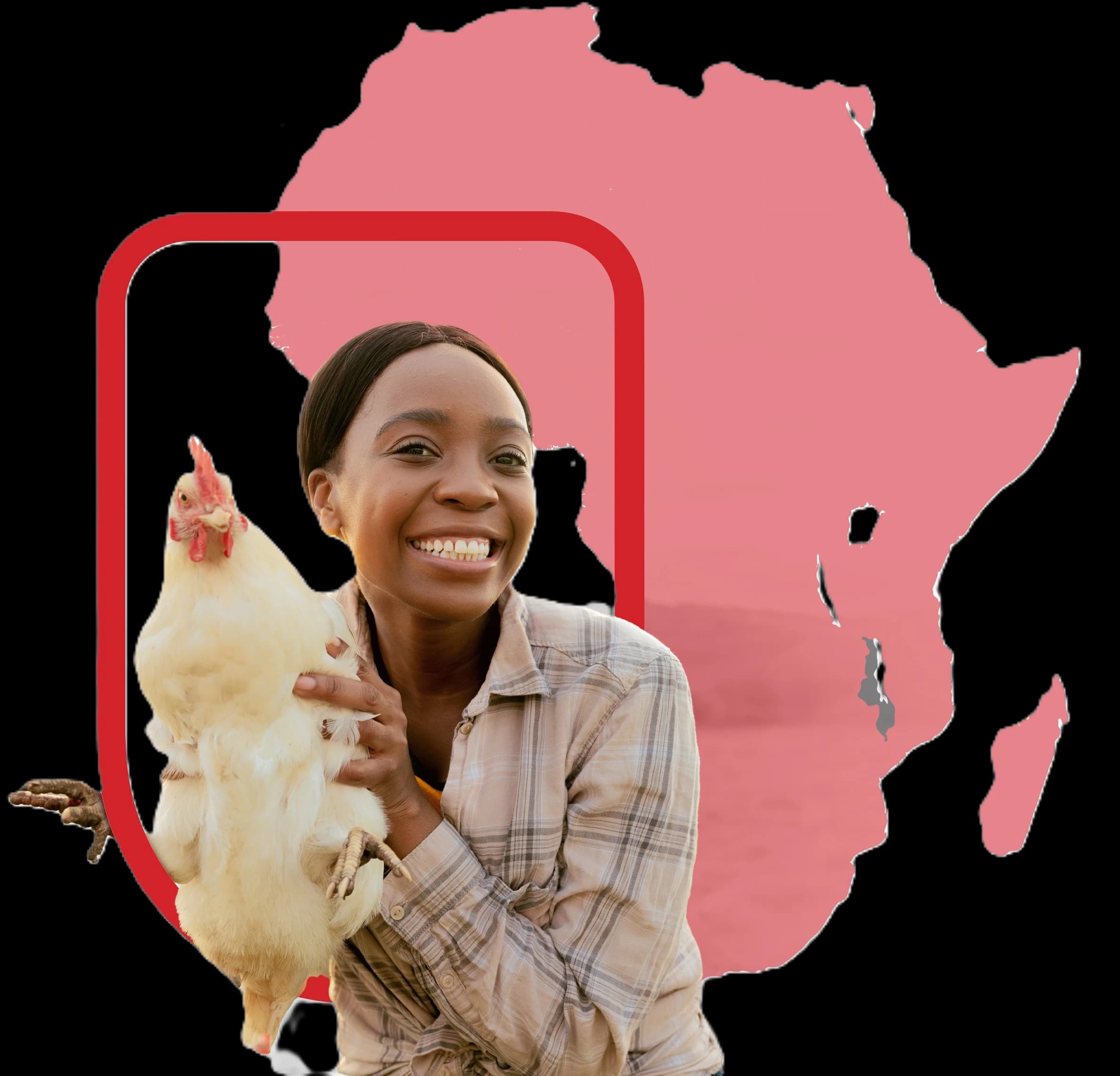 Establishing Quality & Local Partnerships